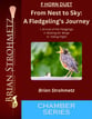 From Nest to Sky: A Fledgelings Journey P.O.D cover